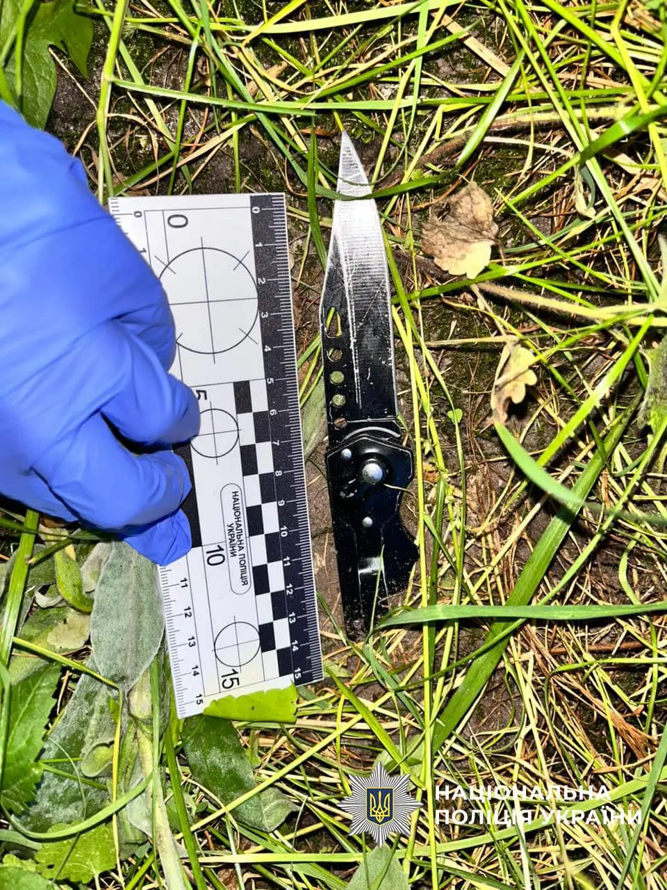 Трагічний інцидент розгортається в Києві: ніч домашнього насильства 1 Киянка, під кайфом, влаштувала реальну трагедію: ніж у коханого — у чому причина?