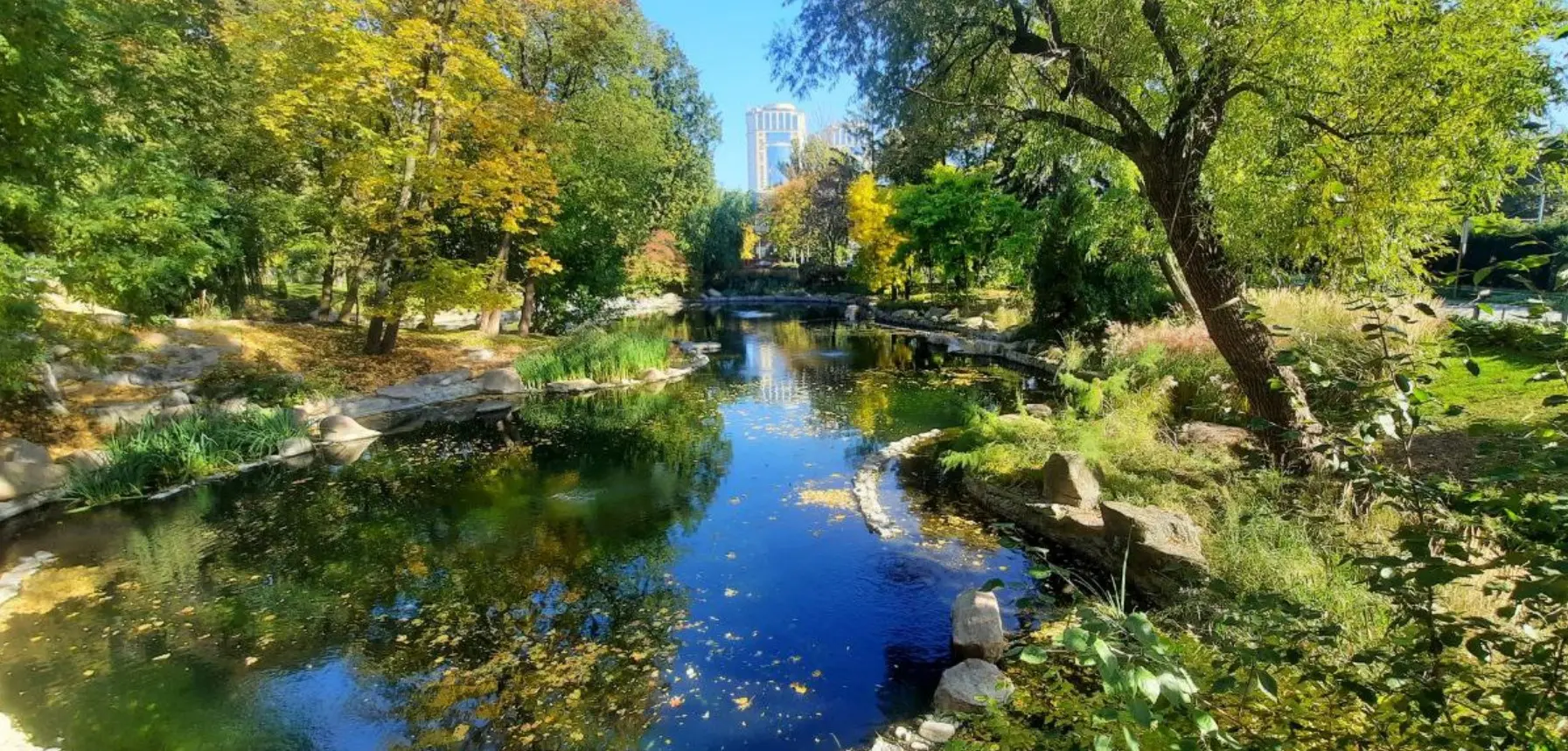 Прогноз погоди на завтра, 11 вересня: дощі на Заході та тепла осінь у більшості областей України 1 Screenshot 562